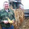 В ООО «Племзавод им. Ленина» завершена уборка кукурузы на зерно