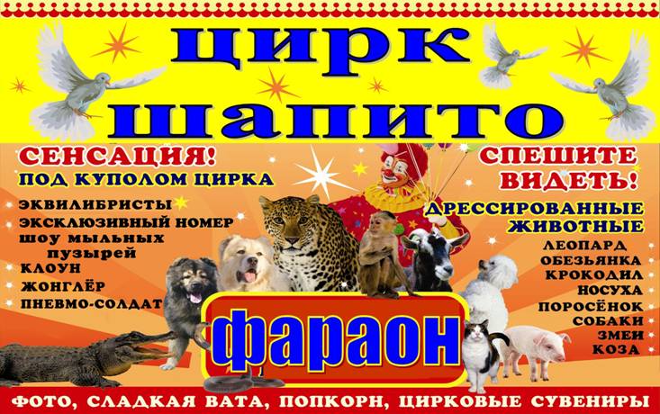 F:\ФЛАЕР ЦИРК копия.jpg