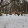 Пернатым на радость