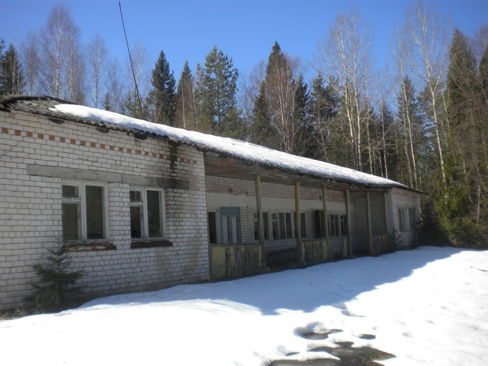 Приватизация посредством продажи на аукционе Сосновый Бор