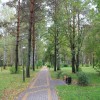 А в парке правит осень…