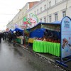 На Рождественской стороне