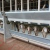 Управление сельского хозяйства информирует:
