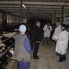 Готовность к зиме проверила комиссия