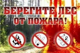Информационная кампания против поджогов сухой травы Береги лес!