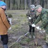 Прошёл «Единый день посадки леса»