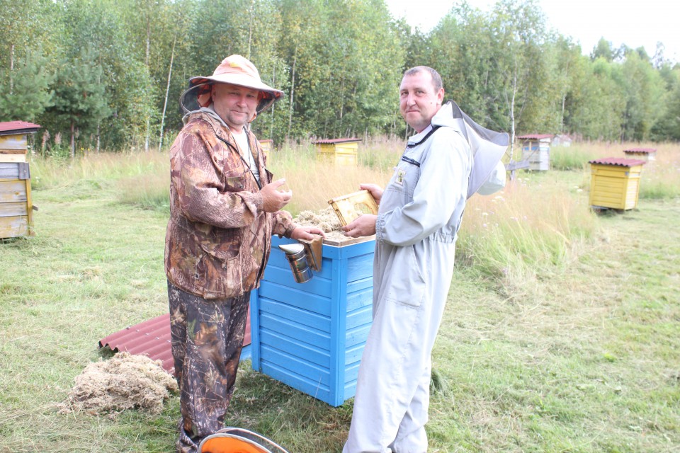 «Сладкий» промысел