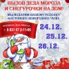 ВЫЗОВ ДЕДА МОРОЗА И СНЕГУРОЧКИ НА ДОМ!