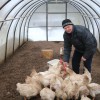 Скучен день до вечера, когда делать нечего