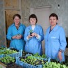 Вносят свой вклад в благоустройство