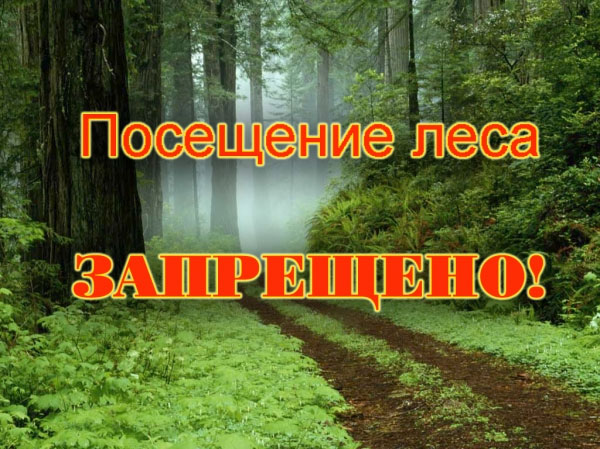 Посещение лесов запрещено!