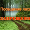 Посещение лесов запрещено!