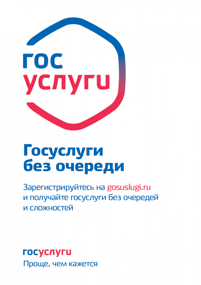 Государственные услуги в электронном виде