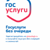 Государственные услуги в электронном виде