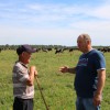 В сельхозпредприятиях района Лето: все работы в комплексе