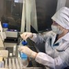 Присасывание клещей, в основном, происходит при выездах за пределы Нижнего Новгорода, при посещении лесных массивов