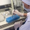 На последней неделе количество обращений населения по поводу укусов клещей снизилось на 6 % - Управление Роспотребнадзора
