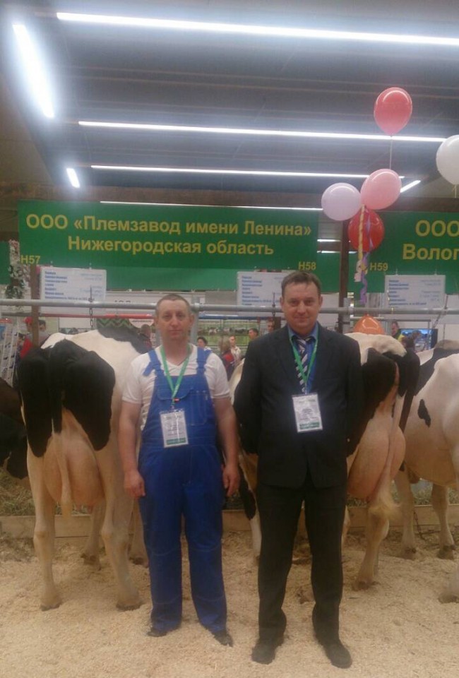 Золотая осень - 2018