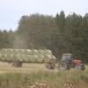 Чтобы сытной была зимовка