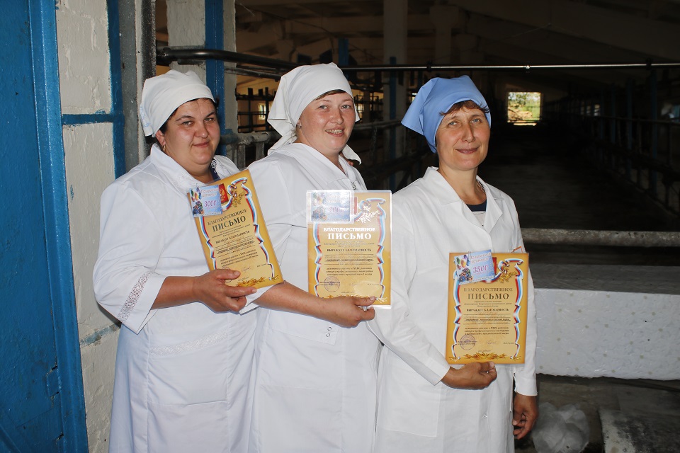 Праздник мастерства и профессионализма