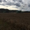 У аграриев жаркая пора.