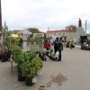 В районном центре прошла традиционная выставка-ярмарка «Ковернинское подворье»