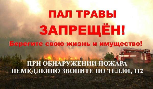 https://mdou218.edu.yar.ru/pal_travi_w600_h350.jpg