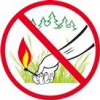 Пожарная безопасность в лесу.