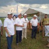 Сельское хозяйство. На других посмотреть и себя показать