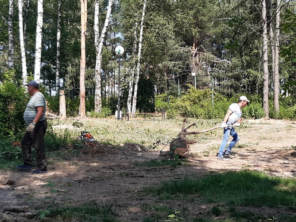 Субботники. В парке стало чище