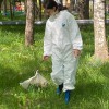 Об эпидемиологической ситуации по инфекциям, передающимися клещами
