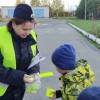 В рамках областного месячника по безопасности дорожного движения