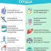 Здоровый образ жизни. Тематические информационные материалы .